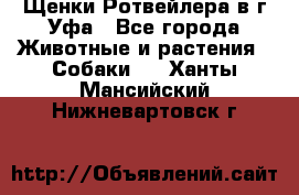 Щенки Ротвейлера в г.Уфа - Все города Животные и растения » Собаки   . Ханты-Мансийский,Нижневартовск г.